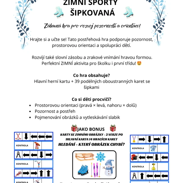 Zimní sporty - šipkovaná (rozvoj pozornosti a orientace)