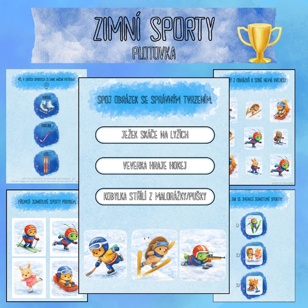 ZIMNÍ SPORTY - PLOTOVKA