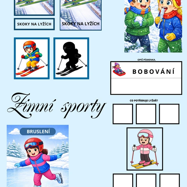 ZIMNÍ SPORTY