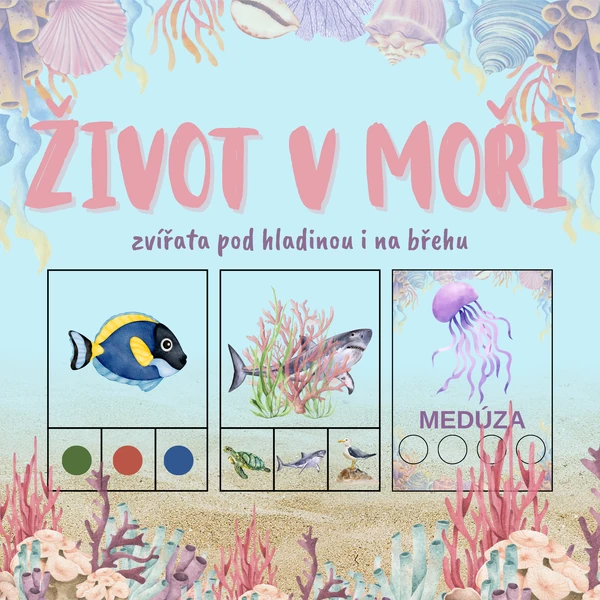 Život v moři – zvířata pod hladinou i na břehu