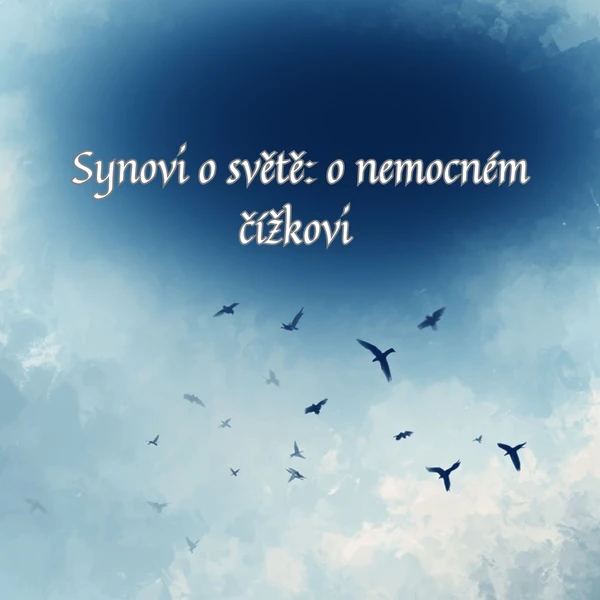 Synovi o světě: o nemocném čížkovi