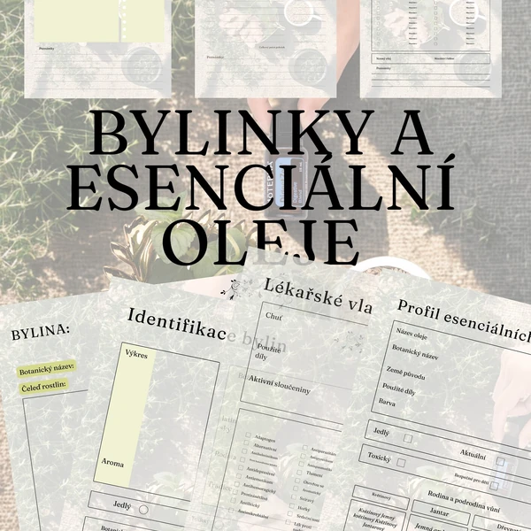 Bylinky 