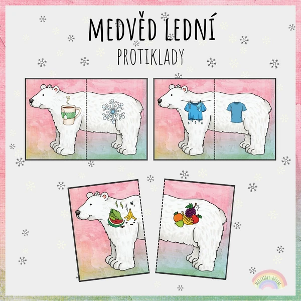 🐻‍❄️Medvěd lední, protiklady🐻‍❄️