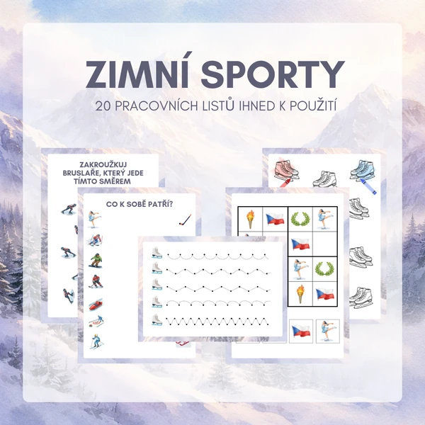 Zimní sporty – pracovní listy