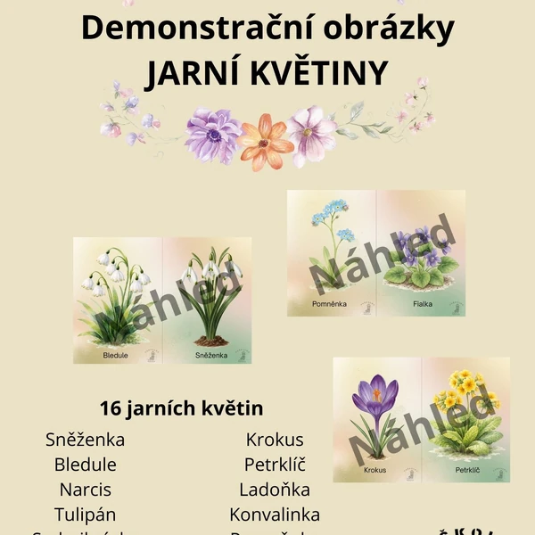 Jarní květiny - demonstrační obrázky