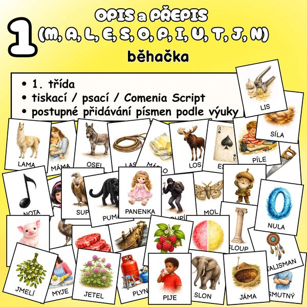 OPIS a PŘEPIS 1 (M, A, L, E, S, O, P, I, Y, U, T, J, N)