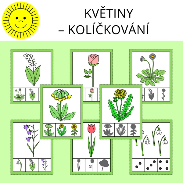 KVĚTINY - KOLÍČKOVÁNÍ