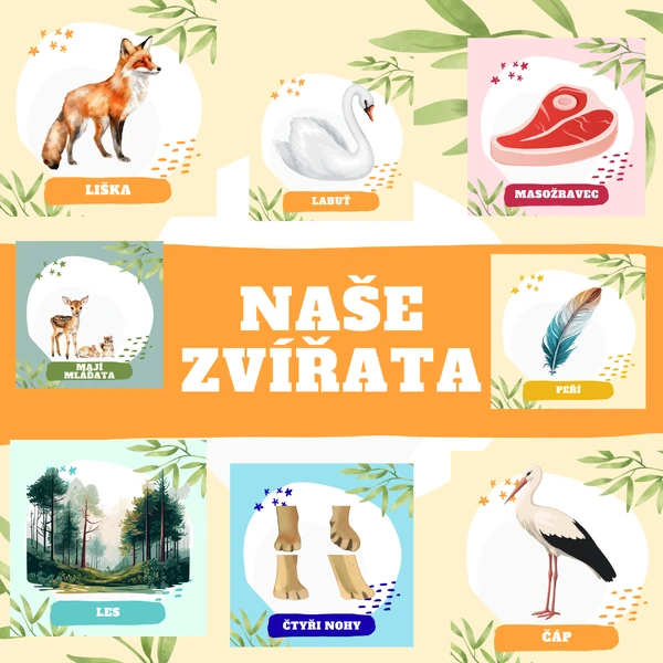 Naše zvířata - variabilní sada aktivit