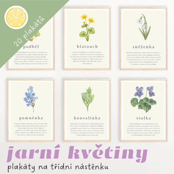 JARNÍ KVĚTINY - plakátky na třídní nástěnku