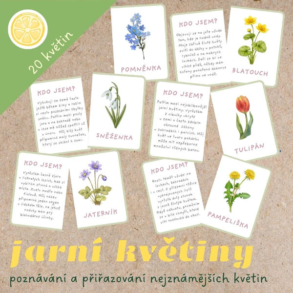 KDO JSEM? JARNÍ KVĚTINY - KARTIČKY K PŘIŘAZOVÁNÍ