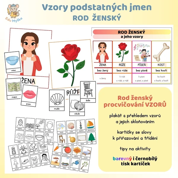 Vzory podstatných jmen - ROD ŽENSKÝ