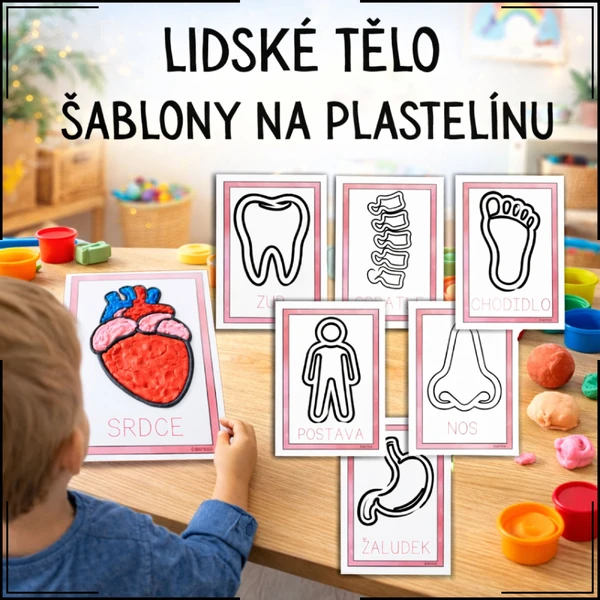 Šablony na plastelínu - Lidské tělo