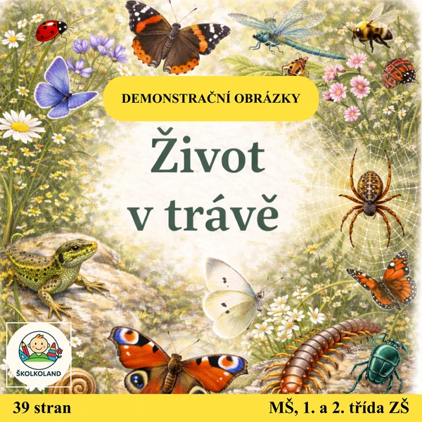 Život v trávě (HMYZ) – demonstrační obrázky pro MŠ (JARO)