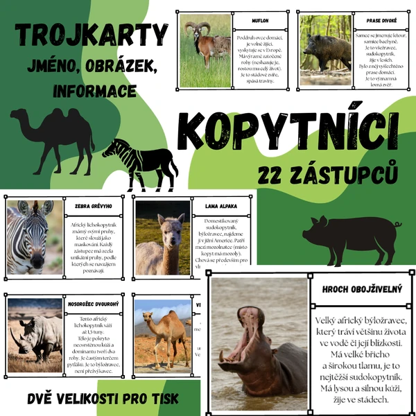 Kopytníci - 22 zástupců (trojkarty - jméno, obrázek, informace)