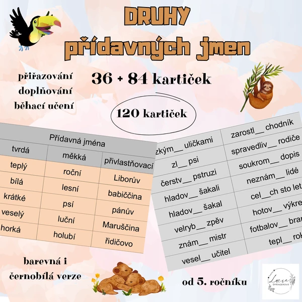 DRUHY PŘÍDAVNÝCH JMEN