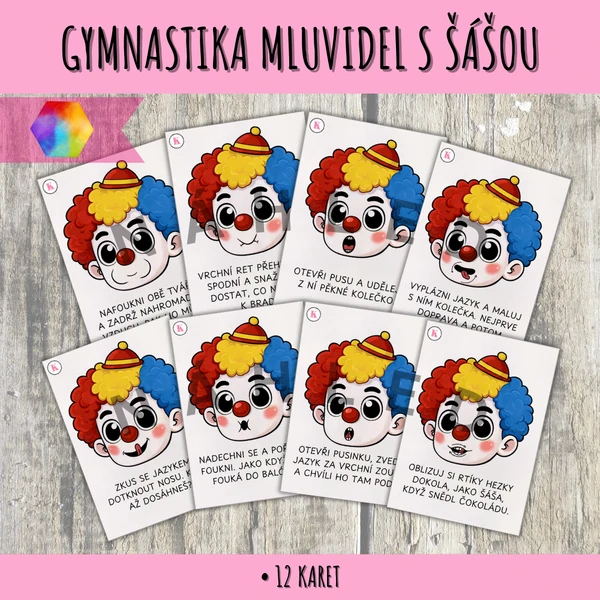Šášova gymnastika mluvidel