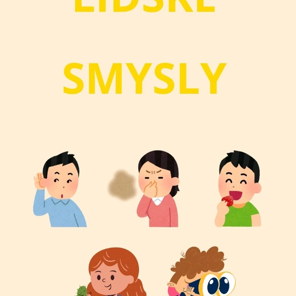 Lidské tělo - lidské smysly 