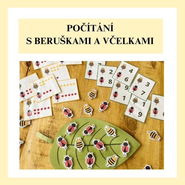 Počítání s beruškami a včelkami