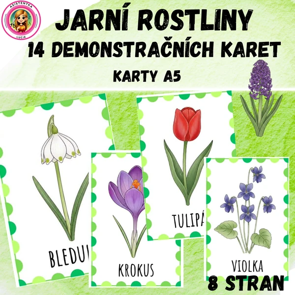 Jarní rostliny - 14 demonstračních karet
