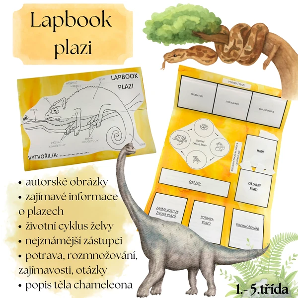Plazi - lapbook
