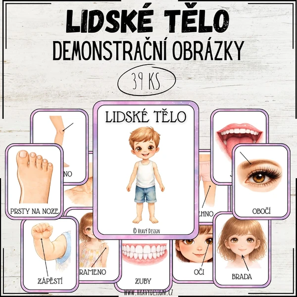 Demonstrační obrázky - lidské tělo