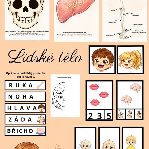 LIDSKÉ TĚLO
