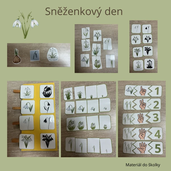 Sněženkový den 