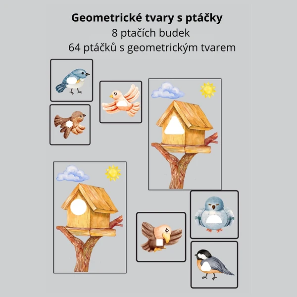 Geometrické tvary s ptáčky 🐦