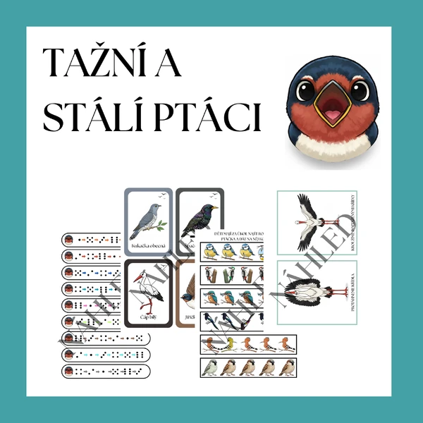 TAŽNÍ A STÁLÍ PTÁCI