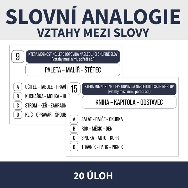 SLOVNÍ ANALOGIE (vztahy mezi slovy, přijímačková úloha)