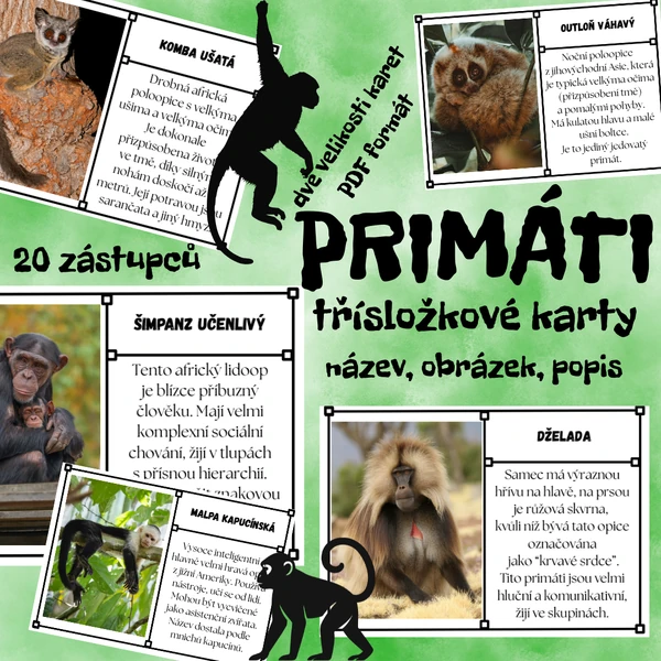 Trojkarty - primáti (20 zástupců) - obrázek, jméno, popis