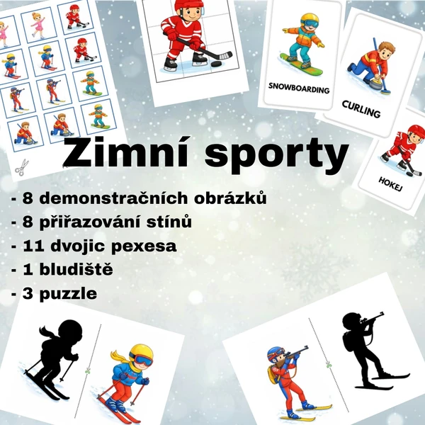 Zimní sporty