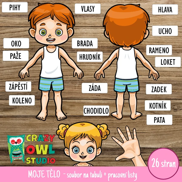 MOJE TĚLO – slovní zásoba | aktivita na tabuli a pracovní listy