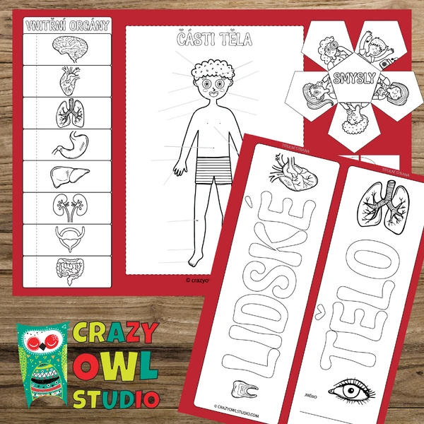 Lapbook LIDSKÉ TĚLO pro 1. - 3. ročník ZŠ