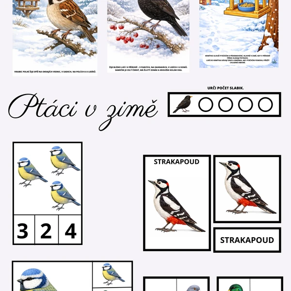 Ptáci v zimě