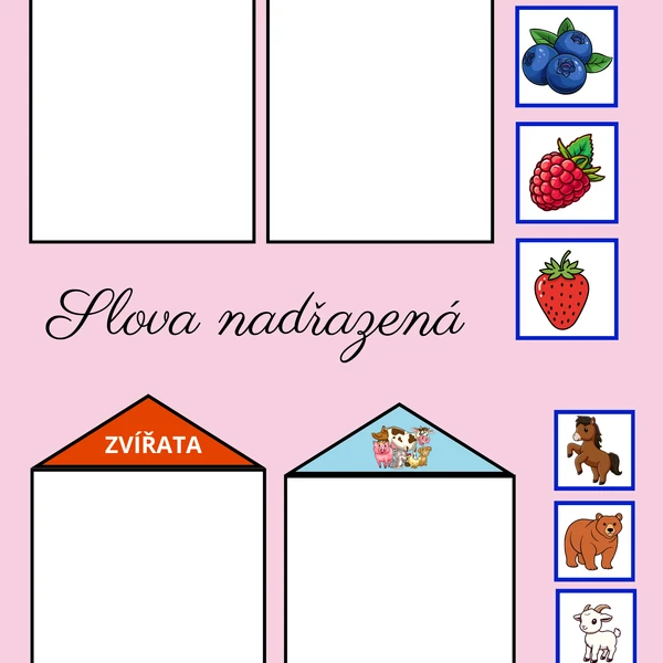 NADŘAZENÁ SLOVA