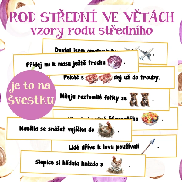 Rod střední ve větách - vzory rodu středního