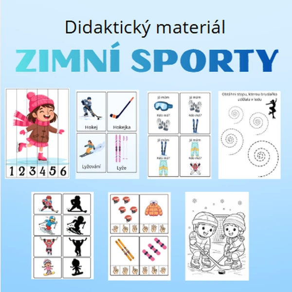 Zimní sporty 