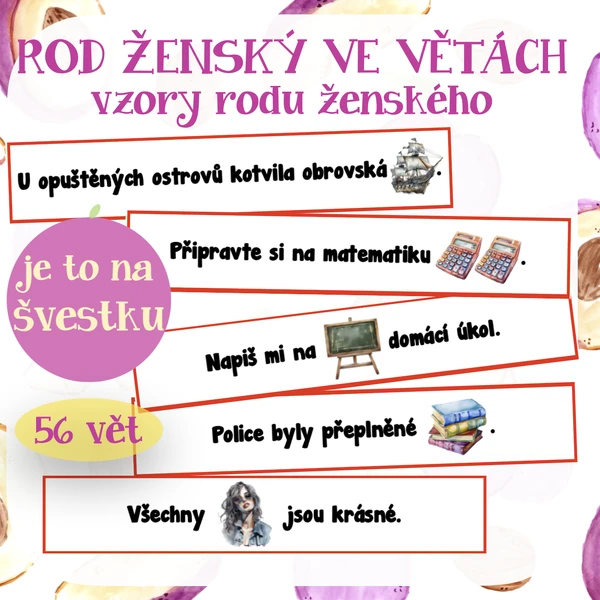 Rod ženský ve větách - vzory rodu ženského