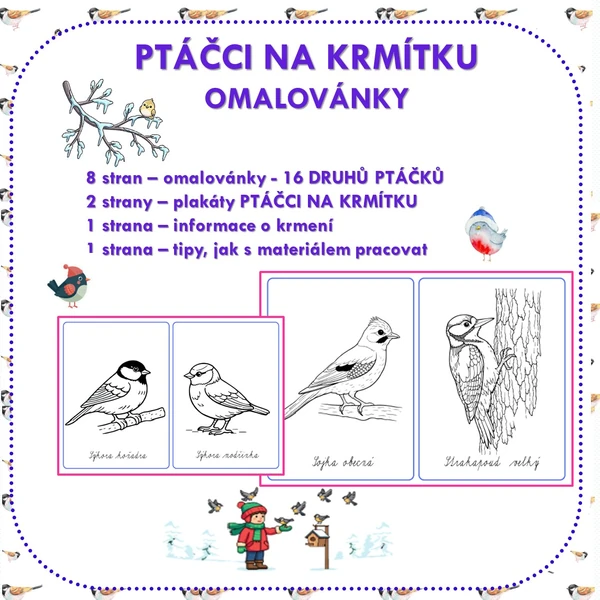 OMALOVÁNKY- PTÁČCI NA KRMÍTKU