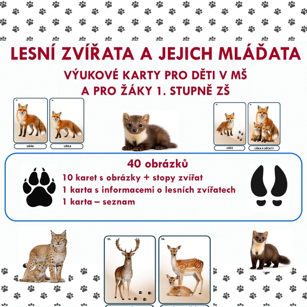 LESNÍ ZVÍŘATA A JEJICH MLÁĎATA