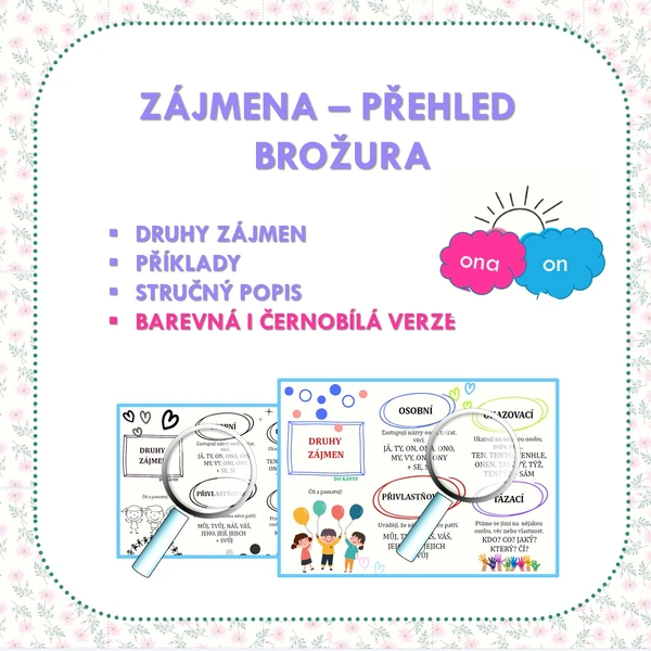 ZÁJMENA – PŘEHLED, BROŽURA
