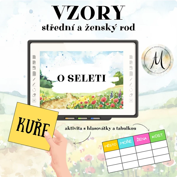 Vzory střední a ženský rod - prezentace