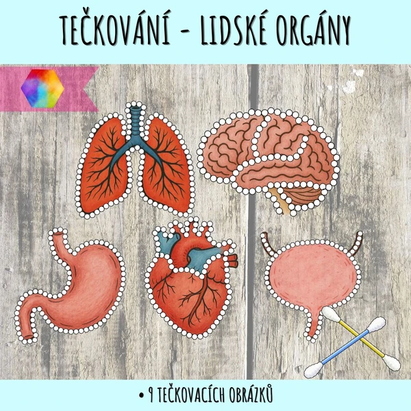 Tečkování - lidské orgány
