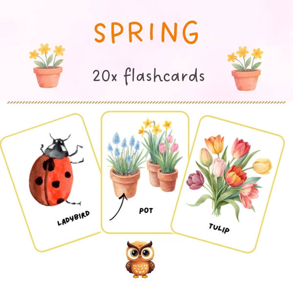 Spring - flashcards