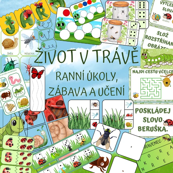 ŽIVOT V TRÁVĚ - ranní úkol, zábava a učení