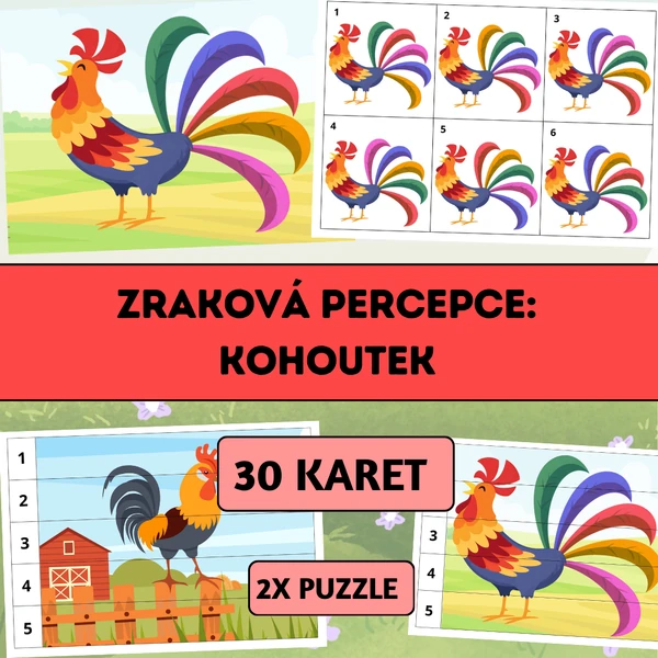 Zraková percepce: Kohoutek