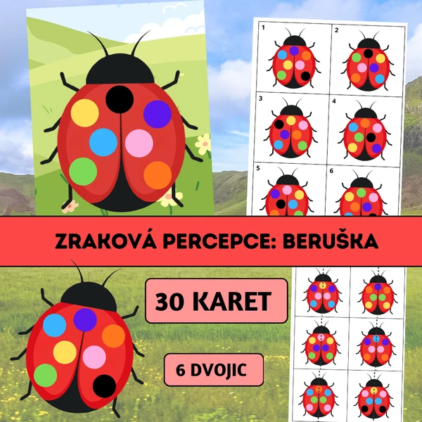 Zraková percepce: Beruška
