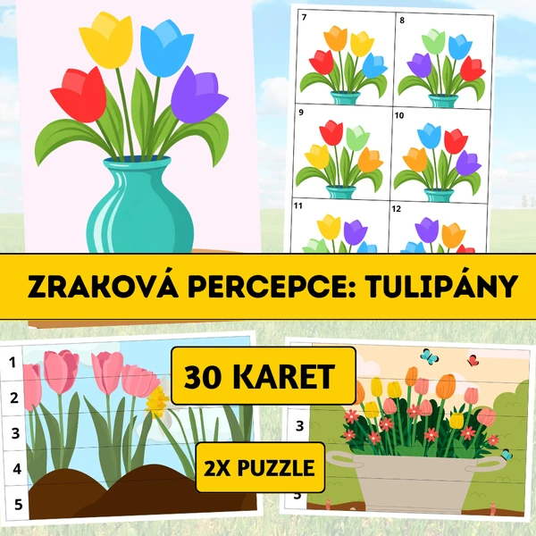 Zraková percepce: Tulipány