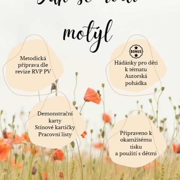Motýl a jeho životní cyklus pro MŠ.